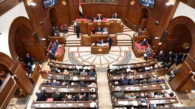 الحكومة تستجيب لطلب النائب أحمد الأحمر بإنشاء فرع لسلامة الغذاء بقنا
