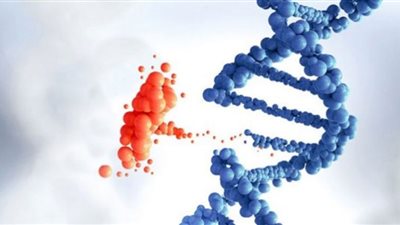 إنفوجراف.. جهود مبادرة الكشف المبكر عن الأمراض الوراثية ( تعرف عليها)