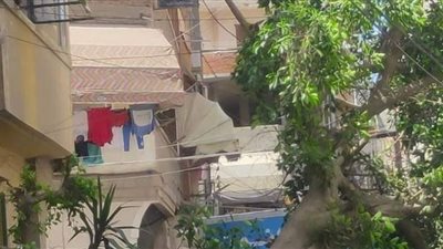 سقوط شجرة على سيارة مواطن دمياطي دون وقوع كارثة بشريّة