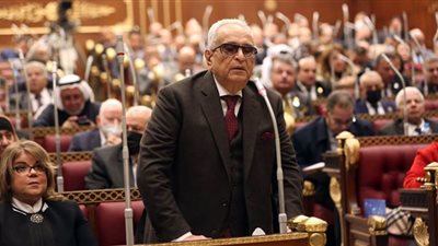 أبوشقة: ظاهرة تغير المناخ تشكل كارثة خطيرة لابد أن تُعالج من خلال فن إدارة الأزمات