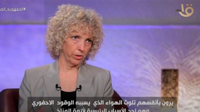 (فيديو) ألمانيا: مصر لديها وفرة من مصادر الطاقة المتجددة تصلح للتصدير