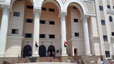 الإعدام شنقًا لأمين شرطة قتل شقيقين بشبين القناطر
