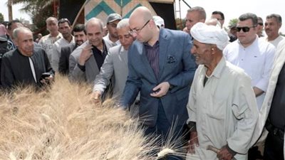 محافظ بني سويف يتفقد موسم حصاد وتوريد القمح داخل أحد حقول دموشيا
