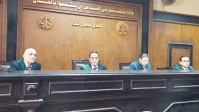 رئيس محكمة بنها لأمين شرطة قتل شقيقين بشبين القناطر: 