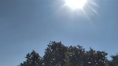 طقس معتدل وسطوع الشمس منذ الصباح في سماء أسوان
