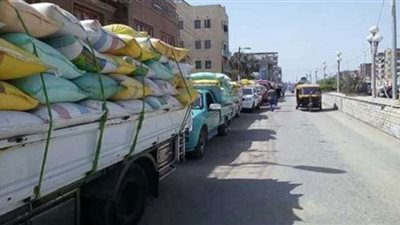 زراعة الشرقية تحصد المركز الأول على مستوى الجمهورية في حصاد وتوريد القمح