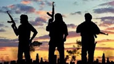 حصاد 2021| أمنى : عودة الوعي لدى الشعب وراء انحصار العمليات الارهابية