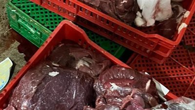 ضبط ٢٥٠ كيلو لحوم ودواجن مجهولة المصدر بإحدى مطاعم الإسماعيلية
