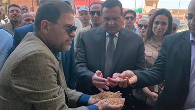 محافظ البحيرة يتابع أعمال لجان التوريد بصوامع القمح بأبو المطامير