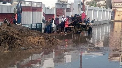 شاهد.. عربات كارو لنقل طلاب مجمع المدارس بقرية الإبراهيمية فى كفر سعد بدمياط