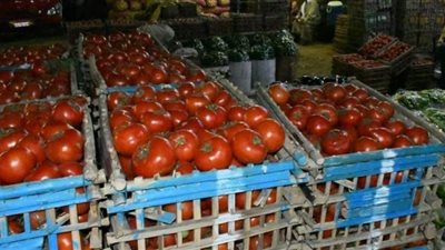 انخفاض أسعار الخضروات والفاكهة في كافة الأسواق بالفيوم