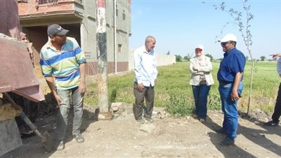 خطة متكاملة لزراعة أعمدة كهرباء من المرفوعات الغير مستغلة بمركز المنصورة