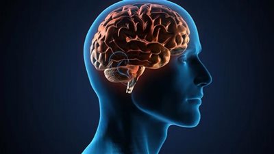 أمل جديد.. صُنع دواء يمنع نمو أورام الدماغ المُميتة