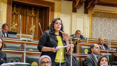مارثا محروس: اجتياز درجة الدكتوراه أسهل من حصول ذوي الاحتياجات الخاصة على بطاقة الخدمات المتكاملة