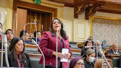 مرثا محروس تطالب بالاستفادة من مميزات تطبيق منظومة التأمين الصحي مع اتفاقية 