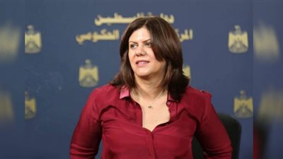 فيديو.. تفاصيل استشهاد شيرين أبو عاقلة برصاص جيش الاحتلال