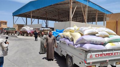 توريد ٥٤٣٢٥ طن قمح لشون وصوامع البحيرة