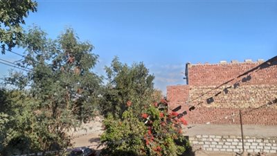 استقرار حالة القطس على مدن أسوان وسطوع الشمس منذ الصباح