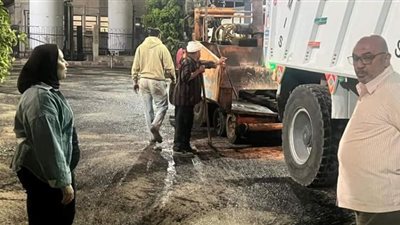 رصف ورفع كفاءة الشوارع والميادين بمدينة المنصورة