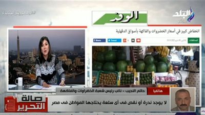 حاتم النجيب: الأسواق المصرية تشهد انخفاضًا كبيرًا في أسعار الخضراوات والفواكه (فيديو)