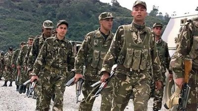 الجزائر.. ضبط 6 عناصر دعم للجماعات الإرهابية و86 مهاجرا غير شرعى خلال أسبوع