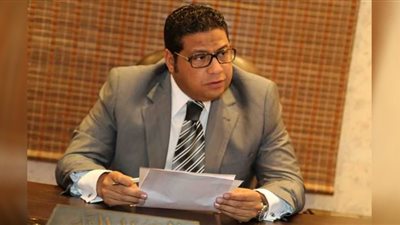 عضو بشعبة الاستثمار العقاري يشيد بدور الدولة في دعم الاقتصاد