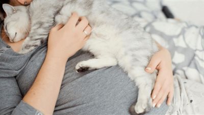 طبيب يحذر النساء من النوم إلى جانب القطط