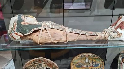 المصريون في إيطاليا يختتمون 2021 بزيارة إلى المتحف المصري بتورينو.. صور