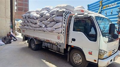 مدير صومعة شبين الكوم: تخطينا أكثر من 50٪ من المستهدف لتوريد القمح خلال شهر