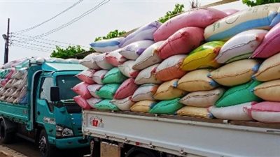 شون وصوامع الشرقية تستقبل ٢٦٠٥٩٧ ألف طن من سنابل القمح