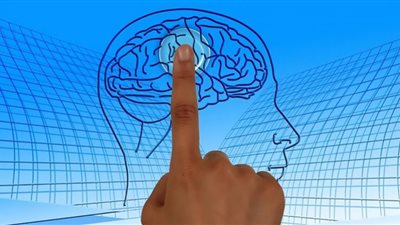 كيفية تحسين الدورة الدموية الدماغية