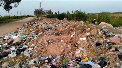 محافظ الشرقية يأمر بحملة نظافة مكبرة ورفع كفاءة الإنارة بطريق العباسة