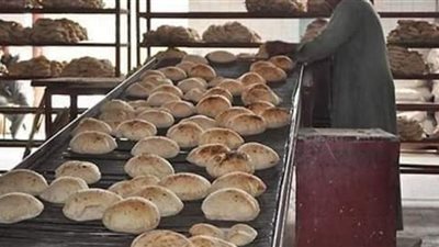 تحرير 121 محضر مخالفات متنوعة في حملة على الأسواق