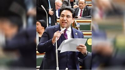 النائب أيمن محسب: الدولة عازمة على إنجاح منظومة التأمين الصحي الشامل