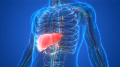 علامات على يديك تشير إلى إصابتك بمرض الكبد الدهني