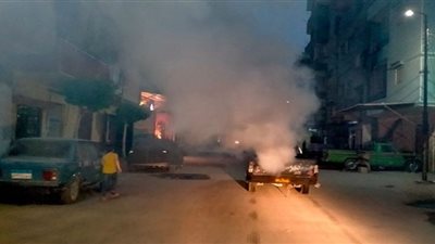 حملة لمكافحة الحشرات والبعوض بالإسماعيلية