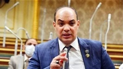علاء قريطم: قانون الصناديق الخاصة يهدف لدعم وتعظيم موارد خزانة الدولة