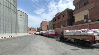 توريد 97193 طن قمح لشون وصوامع البحيرة
