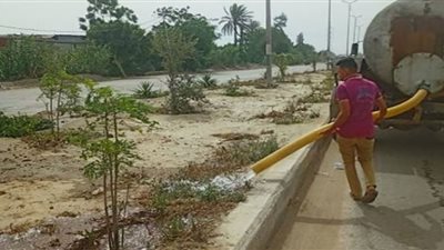 إستمرار حملات النظافة والتجميل للإرتقاء بالشكل الحضاري بمدن الشرقية