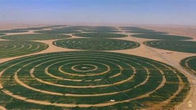 (فيديو) عميد هندسة أسوان: توشكي مشروع القرن وسيحقق الاكتفاء الذاتي من القمح