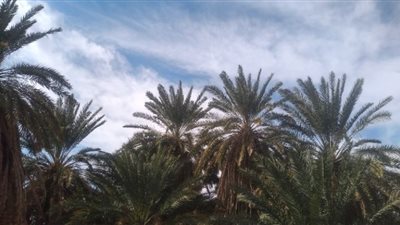 تعرّف علي طقس أسوان اليوم الإثنين