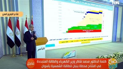 (فيديو) شاكر: 355 مليار جنيه إجمالي استثمارات الكهرباء 7 سنوات