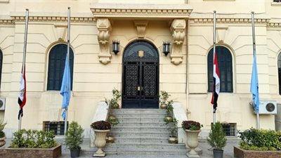 محافظ القاهرة تنكس الأعلام حزنًا على وفاة الشيخ بن زايد آل نهيان