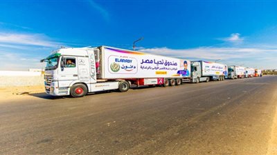 حصاد ٢٠٢١| عبور صندوق تحيا مصر للعالمية بـ 3 ألقاب وتقديم الخدمات للدول الشقيقة