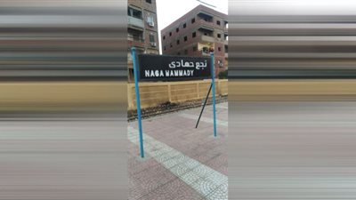 مصرع سيدة أسفل عجلات قطار بنجع حمادي