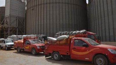 توريد 65 ألف و673 طن قمح بمواقع الاستلام والتخزين ببنى سويف