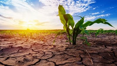 الأمم المتحدة تدق ناقوس الخطر وتحذّر من موجة جفاف عالمية