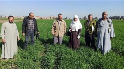 زراعة الشرقية تنظم