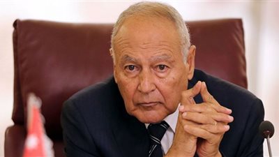 أبوالغيط يُقدم واجب العزاء في وفاة الشيخ خليفة بن زايد