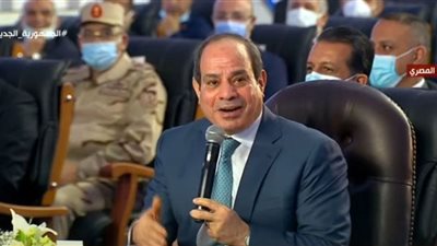السيسي يوجه بتوفير 10 مفرخات لحل أزمة قلة الإنتاج السمكي في بحيرة ناصر (فيديو)